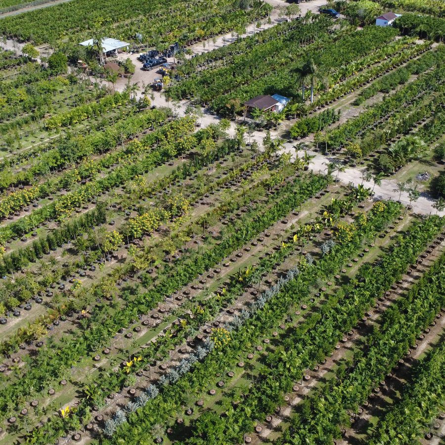 AJM Nursery
